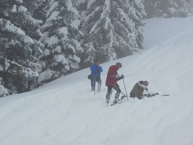sneeuwschoen wandelen2.jpg - Af en toe vallen hoort er bij.